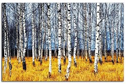 Obraz na stenu ZS - bez pomeru strán